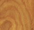 Hole Earrings (by Gary Harrell)