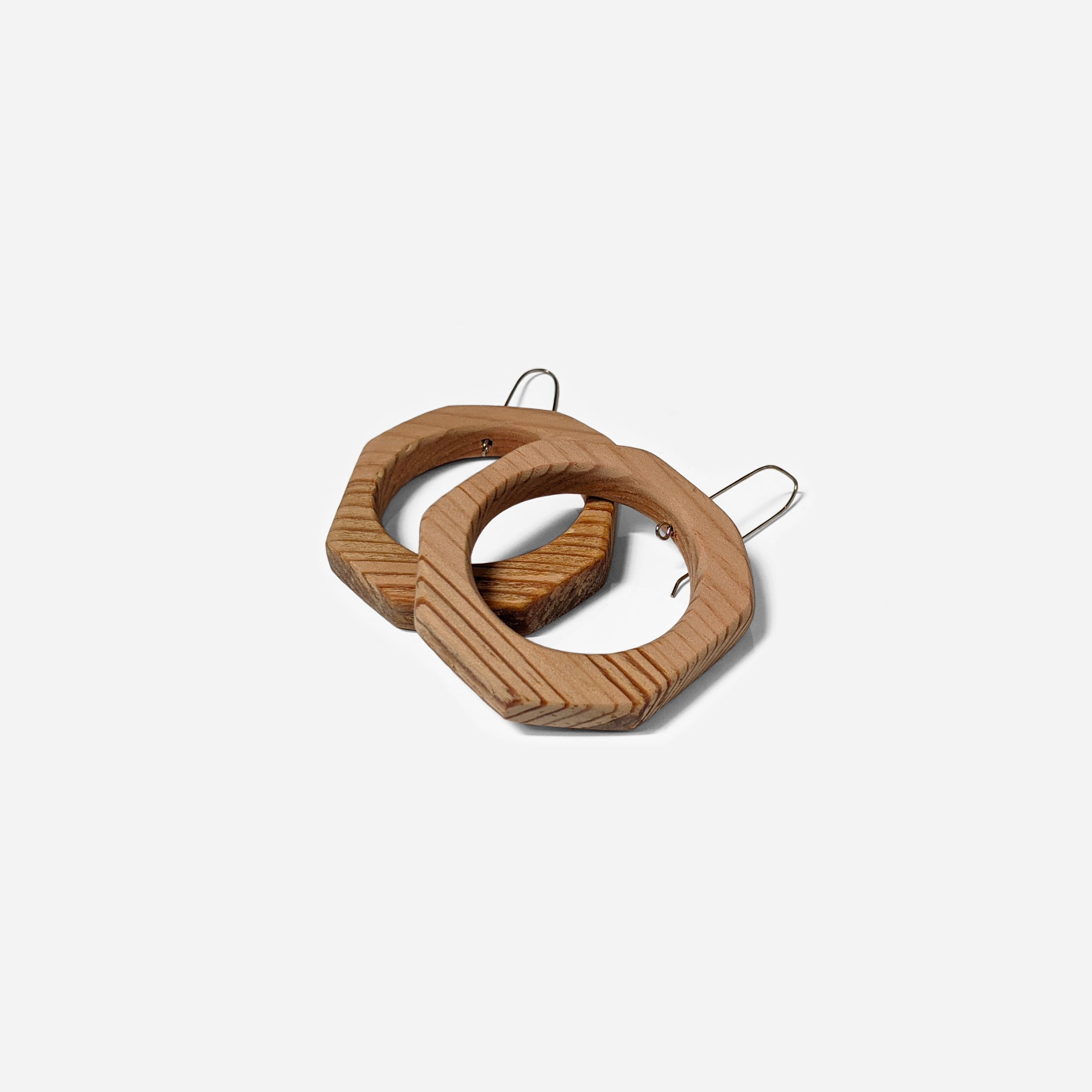 Hole Earrings (by Gary Harrell)